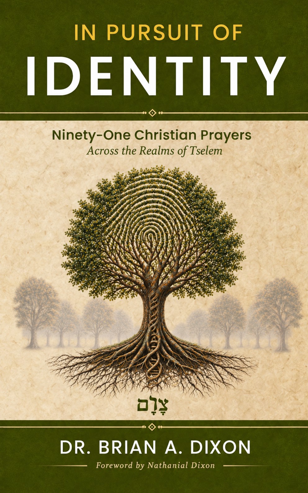 Cover of In Pursuit of Identity by Dr. Brian A. Dixon