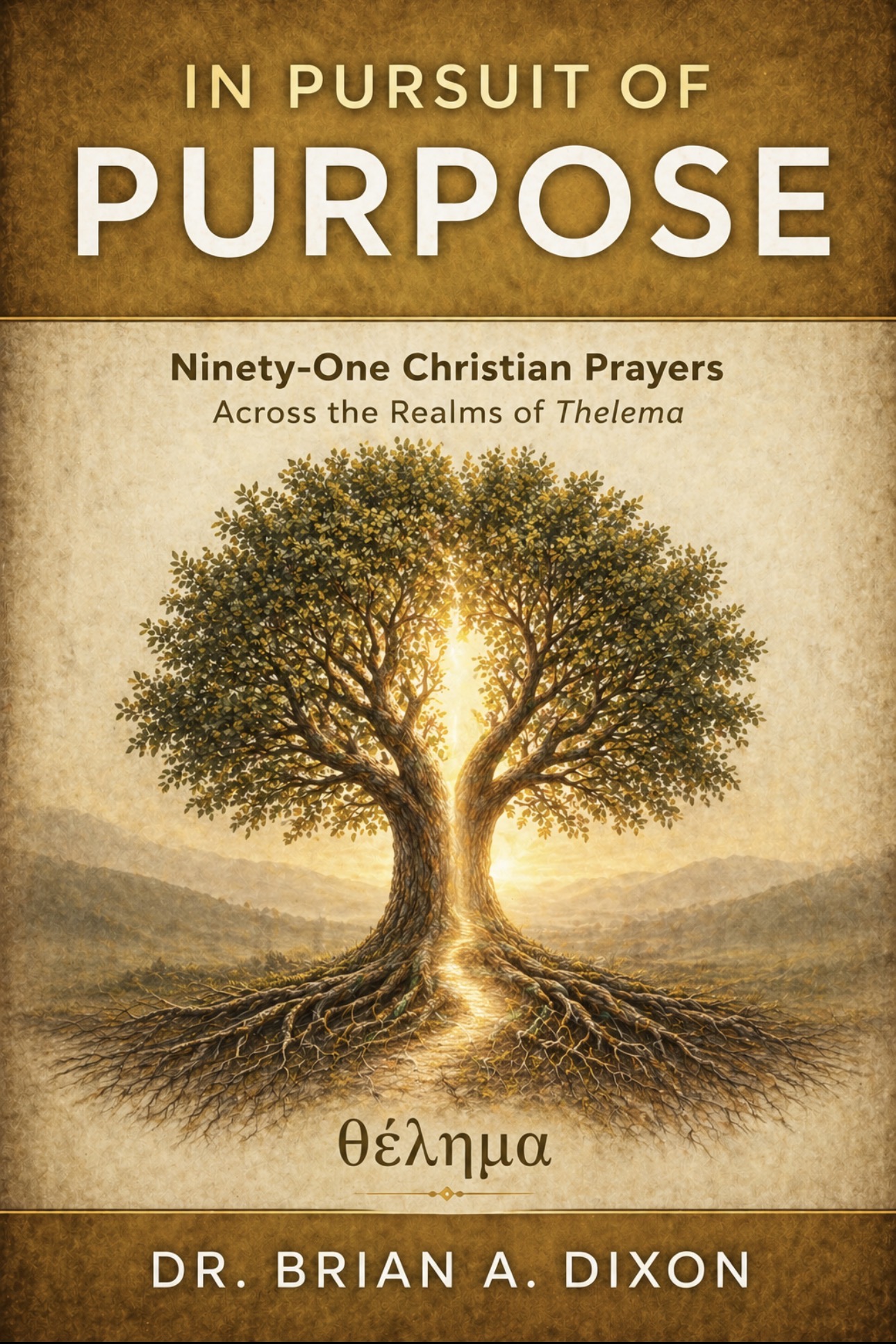 Cover of In Pursuit of Purpose