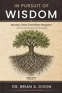 Published cover of In Pursuit of Wisdom